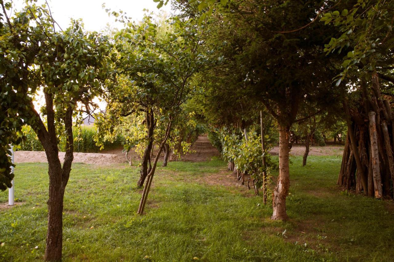Domaine des 4Roses -SPA et sérénité Villa Furdenheim Esterno foto