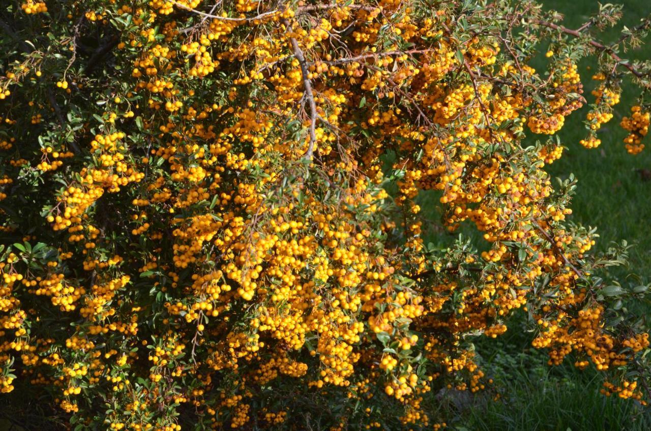 Domaine des 4Roses -SPA et sérénité Villa Furdenheim Esterno foto